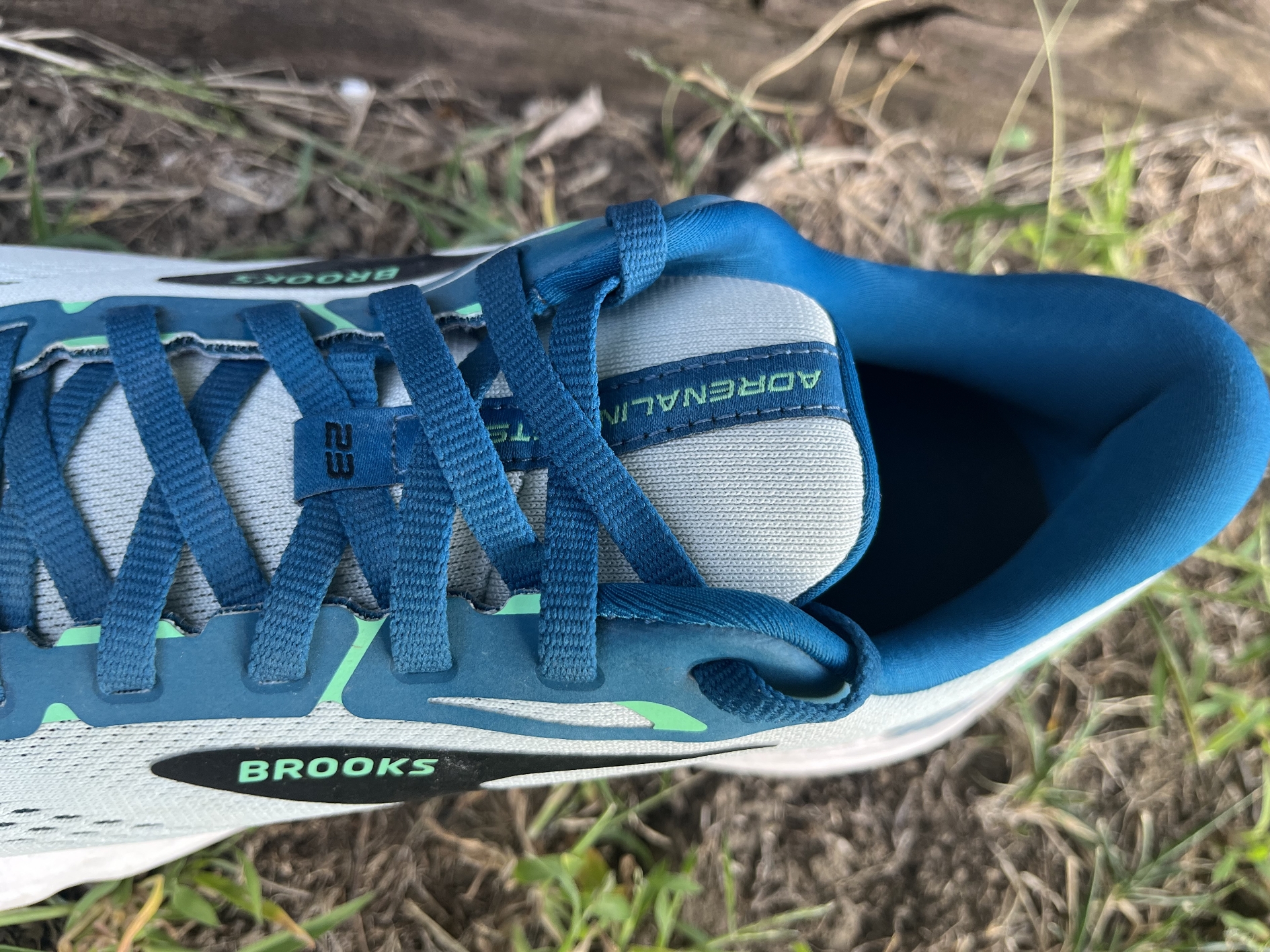 Picture of Brooks Adrenaline GTS 23